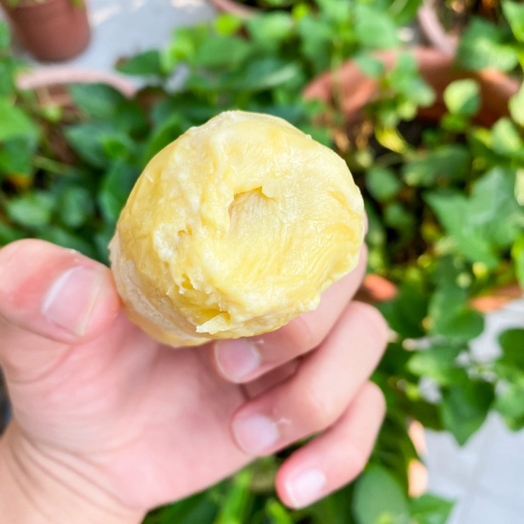 貓山王榴槤在台也能吃到！Gold Thon榴槤果乾、冰淇淋、純果肉，精美禮盒送禮超適合！