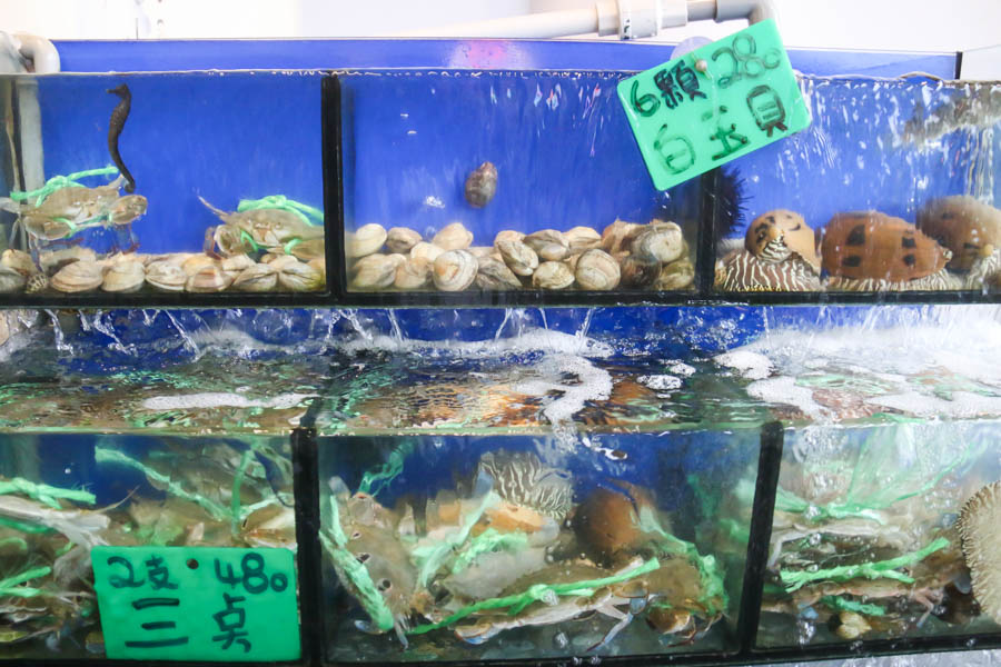 新北｜野柳海鮮餐廳推薦：四姊妹海鮮餐廳，品嚐新鮮出爐的海鮮：萬里蟹、生魚片、蝦子都有！